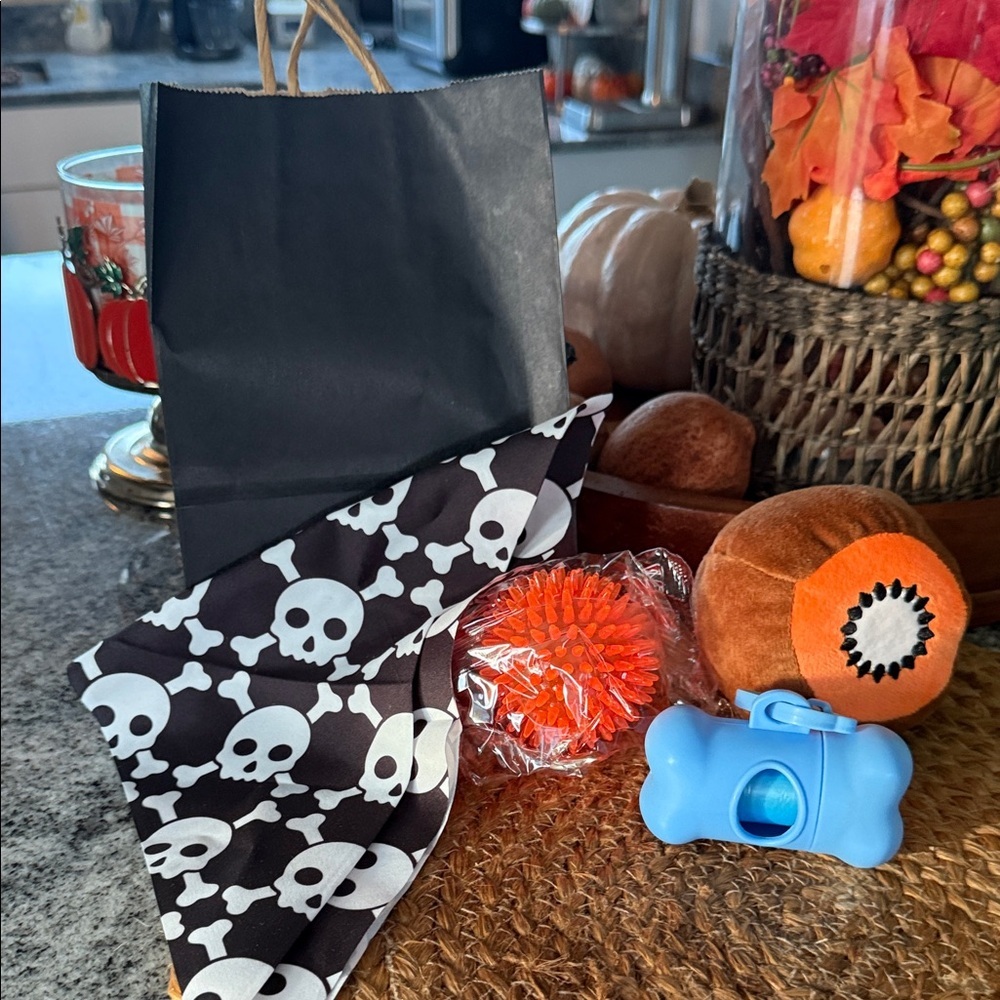 Halloween Dog Gift Set with Skull Bandana